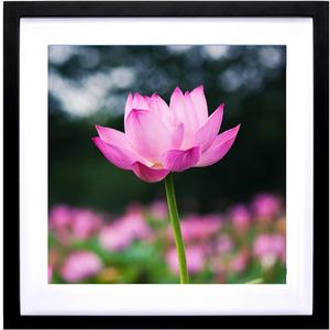 Mxtallup 40x40 Diamond Painting Frames Picture Wood,Display Pictures16x16 Inch/ 40x40 cm with Mat or 18x18 Inch/45x45cm Without Mat, Diamond Embroidery Photo Frame Diamond Art frames Black (TK007)