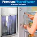 GE RPWFE Refrigerator Water Filter, Genuine Replacement Filter, Certified to Reduce Lead, Sulfur, and 50+ Other Impurities, Replace Every 6 Months for Best Results, Pack of 1