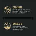 Purina Pro Plan High Protein Dry Puppy Food, Chicken and Rice Formula - 6 lb. Bag (6 Pound (Pack of 1))