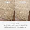 Loloi Chris Loves Julia Palma Collection PLM-03 Lagoon/Natural 2'-3" x 3'-10" Accent Rug Vintage Style Boho Living Room Bedroom Carpet