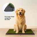 PETMAKER Artificial Grass Puppy Pee Pad for Dogs and Small Pets with Tray - 20x30 inches Washable 3-Layer Reusable Indoor Dog Potty Grass Training Pad, Easy Clean Pet Housebreaking Potty Solution 