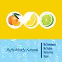 Polar Seltzer Water Citrus Variety Pack, 12 fl oz cans, 18 pack (EXP 12/31/26)