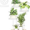 Tall Plant Stand Indoor Outdoor, Corner 3 Tier Metal Flower Pot Stands,Heavy Duty Plant Shelf for Living Room Bedroom Balcony