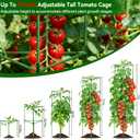 Halatool 72 Inch Extra Tall Tomato Cages for Garden, 2 Pack Heavy Duty Metal Plant Support Stakes for Climbing Plants, Adjustable Large Trellis for Outdoor Raised Garden Bed Vegetables Flowers Fruits