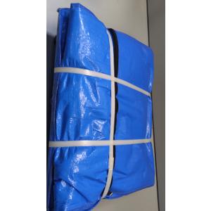 Moving Bag on a Wheel