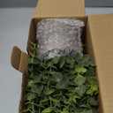 2 Pack Small Fake Plants Eucalyptus Potted Artificial Plants for Shelf Desk Home Bathroom Farmhouse Room Coffee Table Decor (Sage Green)