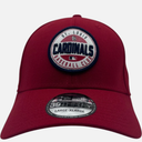 St. Louis Cardinals MLB Game Day New Era 39Thirty Flex-Fit