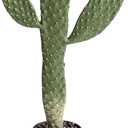 momoplant Artificial Cactus Potted Plant Faux Cacti 19 Inch Cactus Plant with Black Planter for Home Garden Office Decor Indoor Outdoor