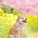 2 x Elegant Little Tail American Flag Bow Tie Dog Collar, Cute Heart Dog Bowtie, Valentine's Day Gift for Small Dogs (Small (Pack of 1))