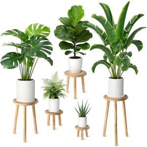 5-Pack Wood Plant Stands Indoor, Single Plant Stand for 6-22 Inch Pots, Mid-Century Modern Plant Stool, Tall Plant Stand for Large Plants Perfect Fit for Living Room, Balcony, Office (Light Brown)
