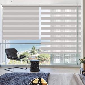 Changshade Cordless Zebra Shades for Windows Pull Down Roller Window Blinds Dual Layer Light Filtering Privacy for Day and Night,Free-Stop Door Shades for Home Easy to Install,27" W72" H,Beige