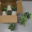 Artificial Potted Plants Set of 5, Realistic Faux Greenery in Cement Pots for Home Office Desk Bookshelf Decor, Small Fake Plants for Indoor Tabletop Decoration