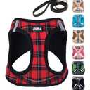 PINA No Pull Dog Harness - Breathable Mesh, Lightweight & Adjustable for Small to S Dogs - Easy On/Off