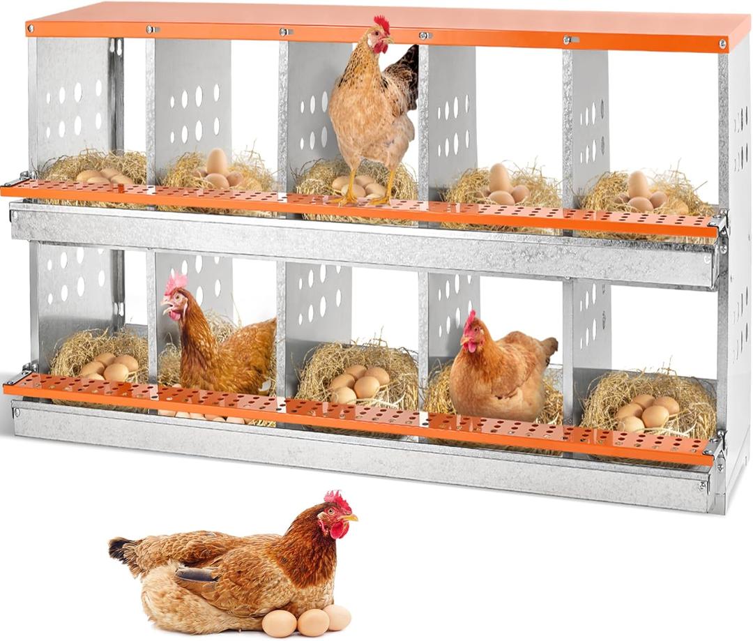 Chicken Nesting Box, 10 Compartment Nesting Boxes for Chicken Laying Eggs, Metal Chicken Laying Boxes with Roll Away Egg Collection, Heavy Duty Chicken Coop Nest Box