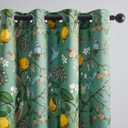 Topfinel Vintage Cottagecore Chinoiserie Curtains & Drapes Botanical Floral Flower Lemon Hummingbird Patterned Sage Green Pioneer Woman Blackout Curtains 96 Inches Long 2 Panels Living Dining Room