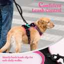 rabbitgoo Dog Harness No Pull with 2 Leash Clips, Adjustable Soft Padded, Reflective Oxford No Choke Pet Vest with Easy Control Handle for  Dogs, Black & Hot Pink, M