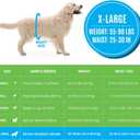 Bodhi Dog Disposable Male Dog Diapers - Super Absorbent, Leak-Proof Pee Wraps - Adjustable Fit, Comfortable Design, Advanced Moisture Control, and Wetness Indicator - Extra Large (20 Count)
