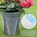 6/8/10/12 Inch Large Clear Nursery Pots 12 Pack, Large Clear deep planter Plastic Plant Pots with Drainage for Bulbs & Orchids, Ideal for Hyacinths, Tulips, Amaryllis, Indoor Outdoor Deep Pots
