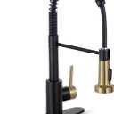 HGN Kitchen Faucet with Pull Down Sprayer, Commercial Single Handle Spring Kitchen Sink Faucets for Farmhouse Camper Laundry Utility Rv Wet Bar Sinks Black&Brush Gold (Black&Brush Gold)