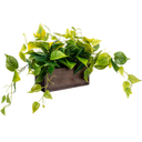 MyGift Vibrant Lifelike Artificial Plant Pothos Leafy Vine Greenery in Burnt Brown Solid Wood Rectangular Planter Box