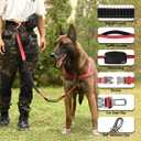 Hands Free Dog Leash with Zipper Pouch, Double Handle Running Reflective Bungee Waist Leash for Dog Walking, Training and Hiking for Small Medium Large Dogs (Red)
