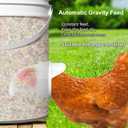 Chicken Feeder No Waste Automatic Poultry Feeder Ports Chicken Feeders and Waterer Set DIY Chicken Feeders Kit