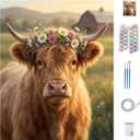CT SUN Paint by Numbers for Adults - Rustic Farmhouse & Country Home Decor - DIY Painting Kits on Canvas - Highland Cow, Vintage Barn, Tractor & Scenery - Relaxing Hobby - 16"x20" (Highland Cow)
