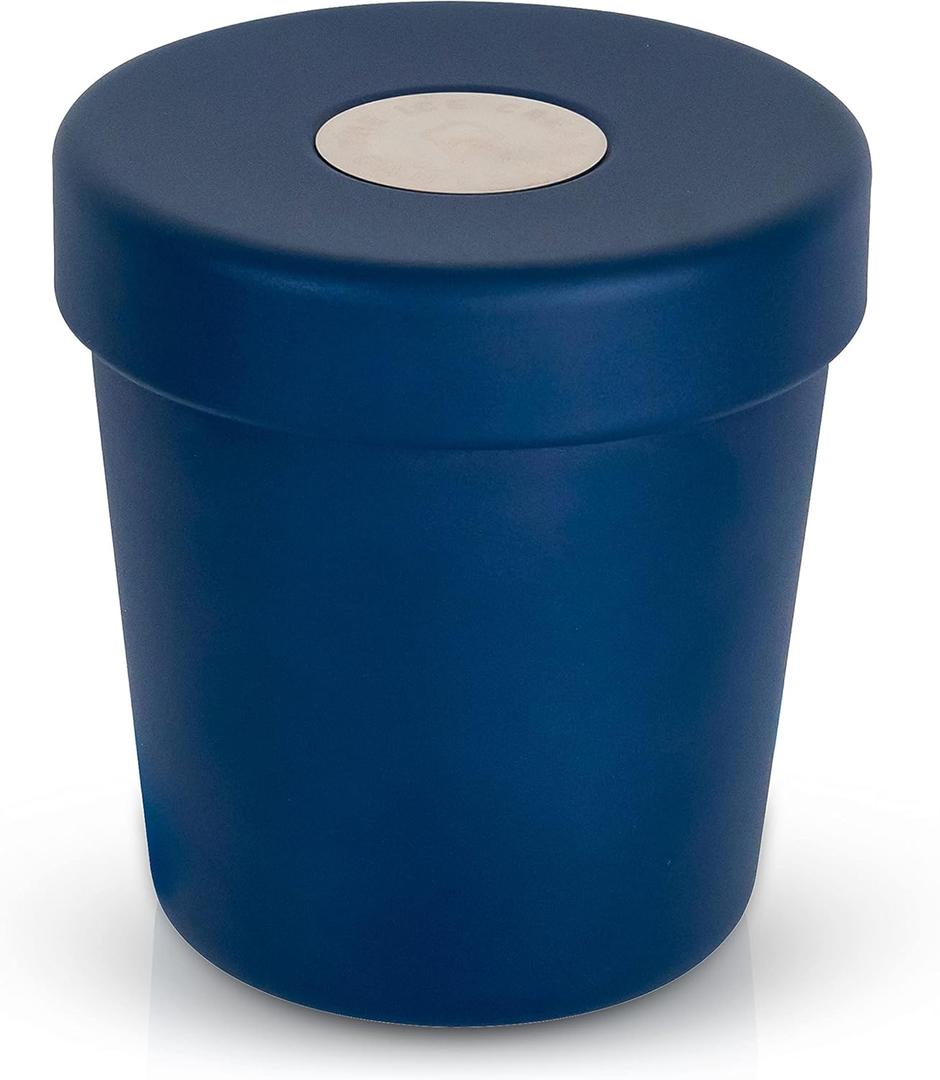 Vacuum Insulated Double Wall Stainless Steel Thermos Container for the Pint of Ice Cream Enjoy Ice Cream Anywhere (Blueberry Blue)