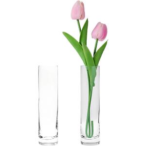 Clear Glass Cylinder Bud Vases,Small Clear Skinny Single Flower Vase for Centerpieces - Minimalist Bulk Vases for Wedding Birthday Bridal Shower Party Events Table Decor (2)