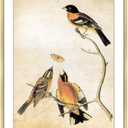 8x11 Picture Frame, Brass Aluminum Metal Photo Frames with HD Glass, Fits 7x9 with Mat or 8 x 11 without Mat, Display for Wall and Table