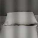 Organic Feather Down Lumbar Pillow Inserts (12x20 Inch, Set of 2) - 100% Cotton Shell, Filling of Feathers & Memory Foam, Rectangular Decorative Pillow Form Core for Couch, Sofa, and Bed