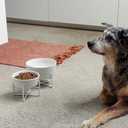 Waggo Simple Solid Dog Bowl and Dog Bowl Stand - Single Iron Stand with Single Ceramic Feeder or Water Bowl (Large, Matte White)