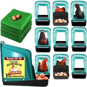 Nesting Boxes for Chicken Coop | Roll Away Hen House for Laying Eggs | Durable Plastic Chick Brooder Box with Perch & Pull Out Egg Tray for Poultry Farm | Chicken Coop Accessories (Pack of 10)