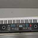 61 key keyboard Piano,Portable Electronic Digital Piano,Built In Dual Speakers,External Microphone,Power Plug,Rich Teaching Content,Multi-Functional Electronic Piano Suitable For Beginners iiw88