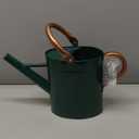 Gardenised 1 Gallon Galvanized Metal Watering Can with Removable Long Spout & Sprinkler Head for Indoor & Outdoor Use Ideal for Garden Flowers Potted Plants Houseplants Modern Home Accessories, Green