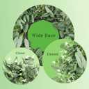 Eucalyptus Wreaths for Front Door Winter 22Inch Spring Eucalyptus Wreath Green Greenery All Seasons Artificial Wreaths for Outdoor Outside Indoor Window Porch Home Farmhouse Hanging Decorations