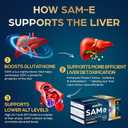 Quorinthiumax SAM e Supplement 500mg - Extra Strength SAM-e(S-Adenosylmethionine) for Mood, Liver & Join t | 25% More Potent Than 400mg SAM-e | Vegan | 120 Medical Blister Pack Capsules (EXP 03/2029)