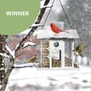 HONGLAND Solar Bird Feeders House for Outside Hanging, Metal Wild Bird Feeder for Outdoors Hanging, Large Capacity, Weatherproof and Durable, Cardinal Bird Feeder Garden Lantern Backyard Decor