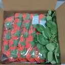 Winlyn 50 pcs Real Touch Blush Pink Roses with Stems & Silk Leaves - Bulk Artificial Flowers for Weddings Centerpieces Floral Arrangements Party Decorations Baby Showers Birthday Anniversaries Crafts