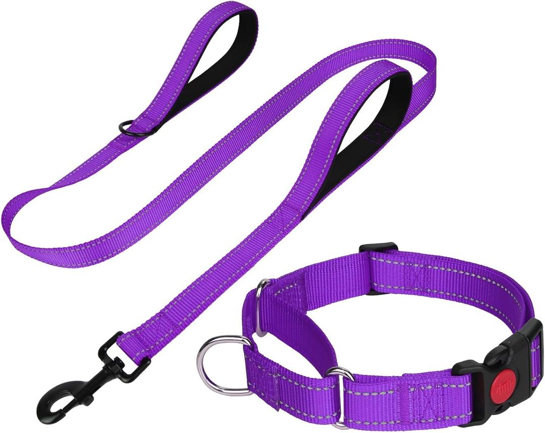 FunTags Reflective Martingale Collar for Dogs, Quick Release Buckle, 5FT Double Handle Dog Leash Padded, Dog Collar and Leash Set, Adjustable for Medium Dogs (Purple, M)