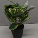 Artificial Plants Indoor Small Fake Plants in Pots Faux Pothos N Joy Potted Plant Fake Indoor Plants with Black Pots for Bathroom Living Room Office Desk Shelves