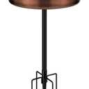 VIVOHOME Oval Polyresin Bird Bath Bowl with Metal Stake, 29 Inch Height Outdoor Freestanding Birdfeeder, Capacity 1.3 Gallons, 5-Pronged Base, Bronze