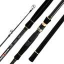 BERRYPRO Light Surf Spinning Rod Striper Fishing Rod Striped Bass surf Rod, 12'-2pc