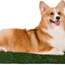 Pee Pads for Dogs - Set of Three 23x18.5-Inch Replacement Turf Grass Mats for Potty Training - Dog Housebreaking Supplies for Small Pets by PETMAKER, Green, Medium