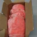 DELIFUR Dinosaur Dog Halloween Costume Pet Dino Hoodie for Small Dogs Cats (L, Pink)