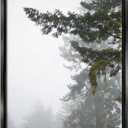 Majestic Pine Tree Overhang Oversized Wall Plaque Art,"18x12"