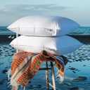 Shilucheng Canadian Goose Down Pillows Queen Size Set of 2, 900+ Fill Power Side Sleeper Pillow for Sleeping Neck Pain Relief, 100% Cotton Shell 600 Thread Count Hotel Quality Pillows (White, 20" x 30"）