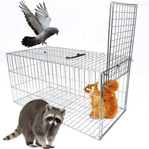 Animal Trap Cage Pigeon Squirrel Racoon Outside Trapping Live Small Animal Bird Trap Cage