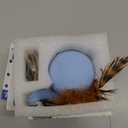 ORSDA Cat Toys, Interactive Cat Toy for Indoor Cats, Automatic Moving Ball Bird for Indoor Adult Cats Kitten Toys All Breeds, Fast Rolling Motion Activated Chirping Stimulating Light, 2 Feather Refill (Sky- Blue)