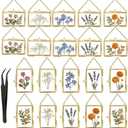 20 PCS Pressed Flower Frames with Tweezers,Wall Hanging Double Glass Frames 2.5x3.5 with Metal Chain for Dried Plants,Floating Photo Frame for Gallery Artwork, Horizontal Vertical,Gold